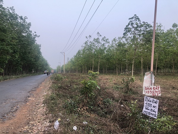 ‘Cò đất’ thổi giá, làm sao để không bị cuốn vào vòng xoáy sốt ảo?