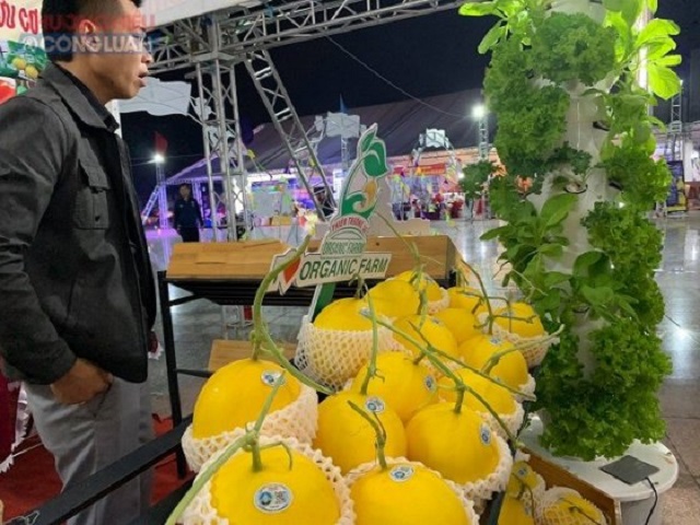 Thanh Hóa: Thu hút doanh nghiệp đầu tư vào lĩnh vực chế biến nông sản