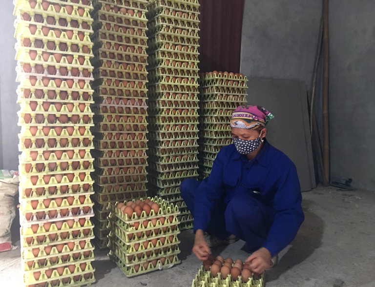 Vĩnh Phúc: Hơn 13 nghìn khách hàng bị ảnh hưởng Covid-19 được vay vốn lãi suất ưu đãi