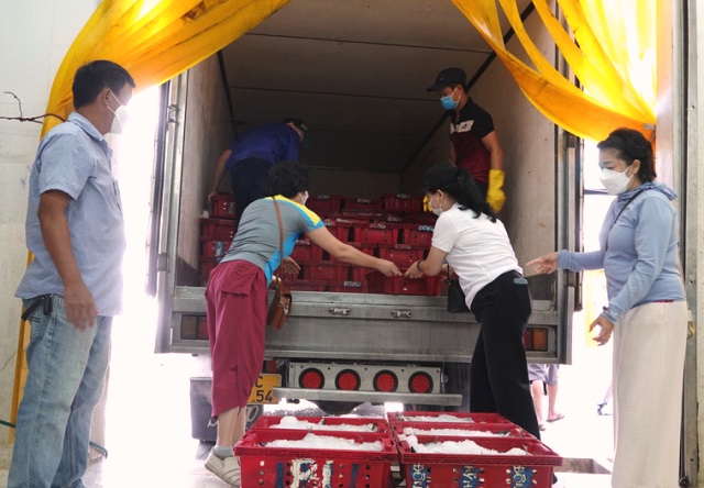 Các thành viên của nhóm thu mua cá từ tỉnh Quảng Nam đưa ra TP. Đà Nẵng