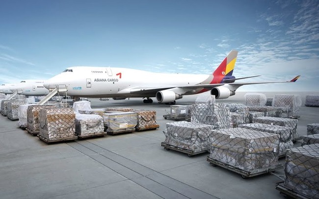 Kiến nghị chưa xem xét cấp phép cho hãng bay chở hàng IPP Air Cargo