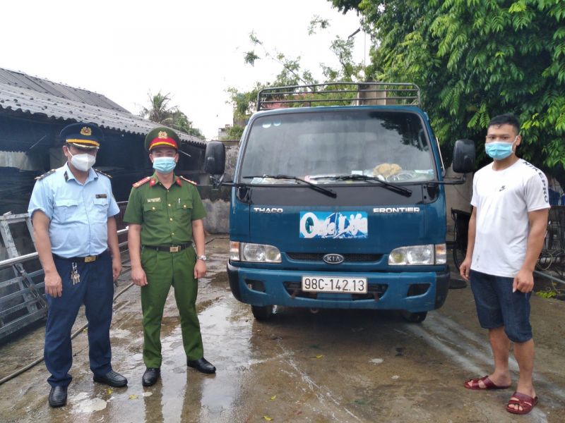 Bắc Giang: Ngăn chặn gần 1,8 tấn lợn mắc bệnh dịch tả châu Phi