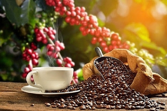 Các chuyên gia cho rằng, trong thời gian tới thị trường cà phê trên thế giới tiếp tục có biến động