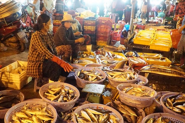 Đà Nẵng: Sẽ tạm dừng cảng cá lớn nhất miền Trung