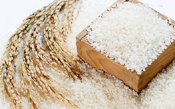 Giá lúa gạo ngày 28/7: Duy trì ổn định