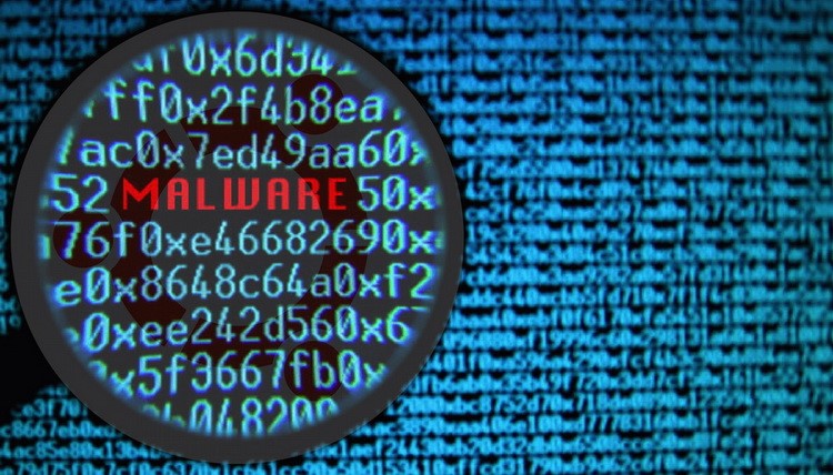 Hệ thống đăng ký "luồng xanh" tồn tại nhiều lỗ hổng bảo mật nghiêm trọng