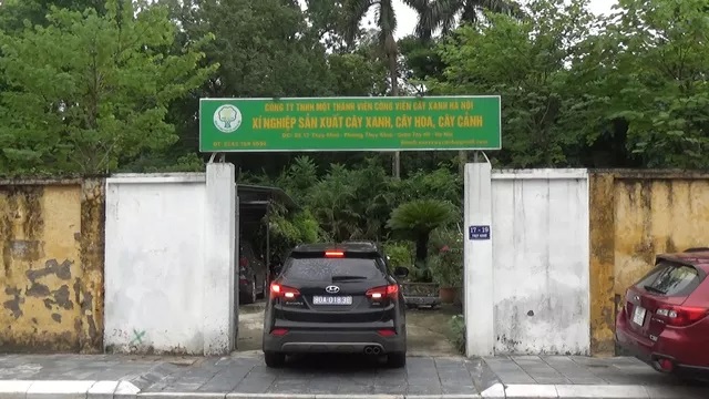 Bắt Tổng giám đốc Công ty Công viên cây xanh Hà Nội để điều tra tội buôn lậu và làm thất thoát tài sản công