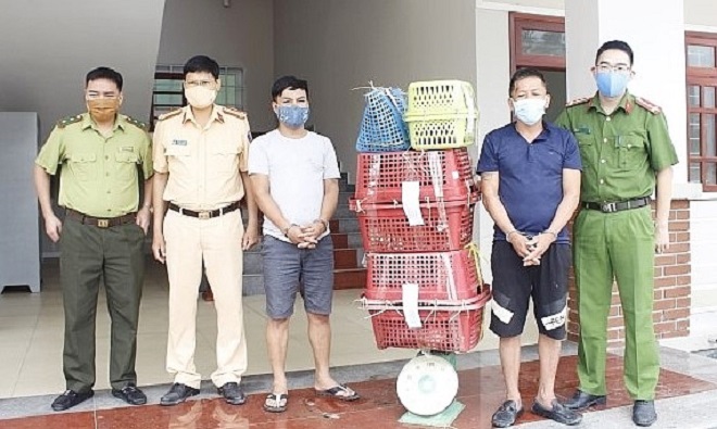 Nghệ An: Bắt 2 đối tượng vận chuyển 7 cá thể hổ