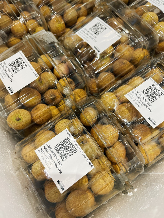 Nhãn lồng Hưng Yên xuất khẩu sang Singapore, bán gấp đôi giá loại cao cấp tại Việt Nam