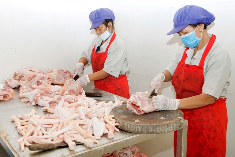 Công ty TNHH nông nghiệp hữu cơ Herbfarm, xã Yên Bình (Vĩnh Tường) cung ứng ra thị trường sản phẩm gia cầm sạch, chất lượng đảm bảo an toàn vệ sinh thực phẩm, trở thành địa chỉ tin cậy của người tiêu dùng.