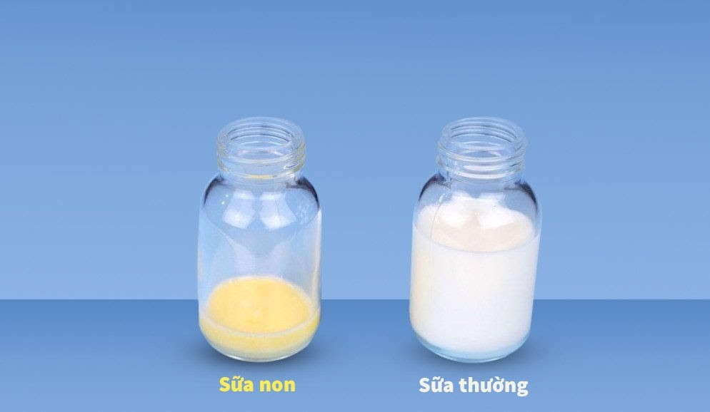 Sự khác biệt dòng sữa non và sữa thường