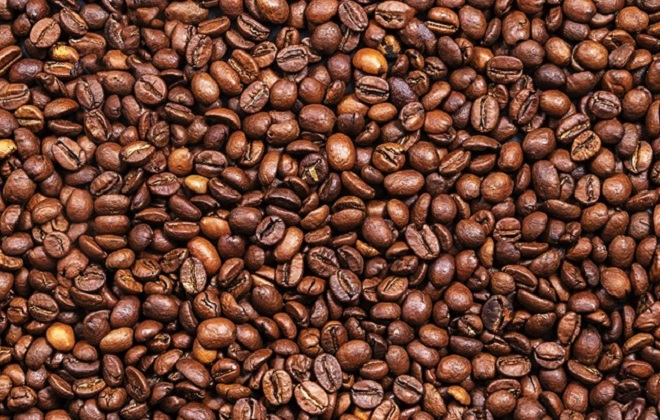 Giá cà phê hôm nay 9/8: Giá cà phê có xu hướng tăng trong tuần này?