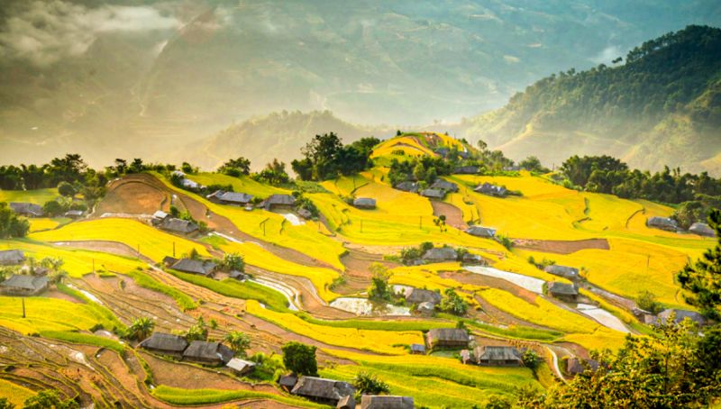 Hà Giang tổ chức trực tuyến chương trình du lịch Hoàng Su Phì