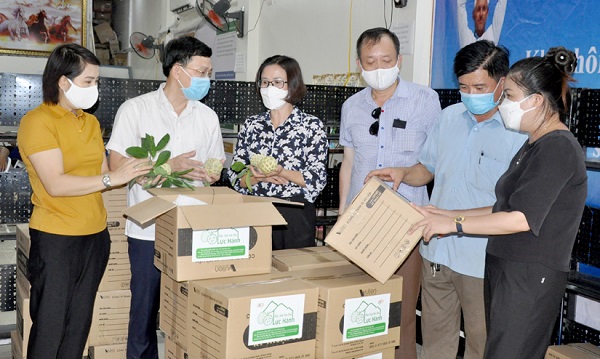 Các đồng chí lãnh đạo hội nông dân tỉnh, UBND huyện Yên Sơn kiểm tra chất lượng, quy trình đóng gói sản phẩm na