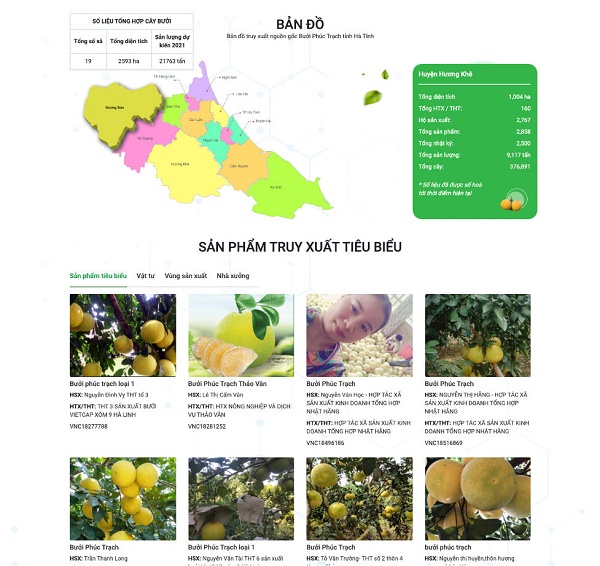 Xây dựng thương hiệu bưởi Phúc Trạch, Hà Tĩnh, hướng tới các kênh tiêu thụ bền vững