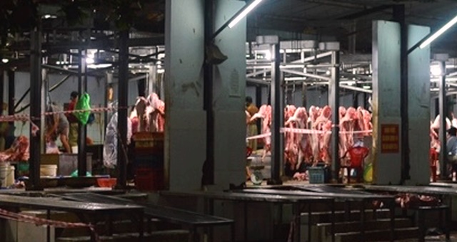 Đà Nẵng:Tạm dừng hoạt động tất cả 8 lò mổ gia súc, gia cầm để phòng, chống dịch Covid-19