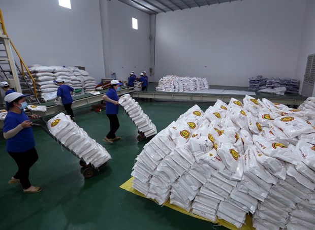 Hà Nội gửi tặng TP.HCM và Bình Dương 6.000 tấn gạo (Ảnh minh họa)