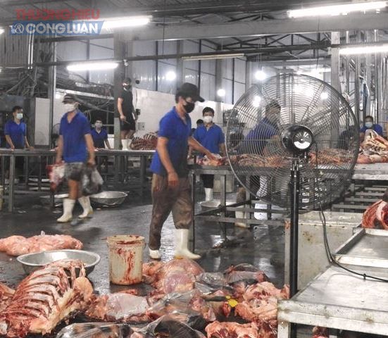 Lò mổ Đà Sơn hoạt động lại, cung ứng 10,5 tấn thịt heo, bò cho thị trường.