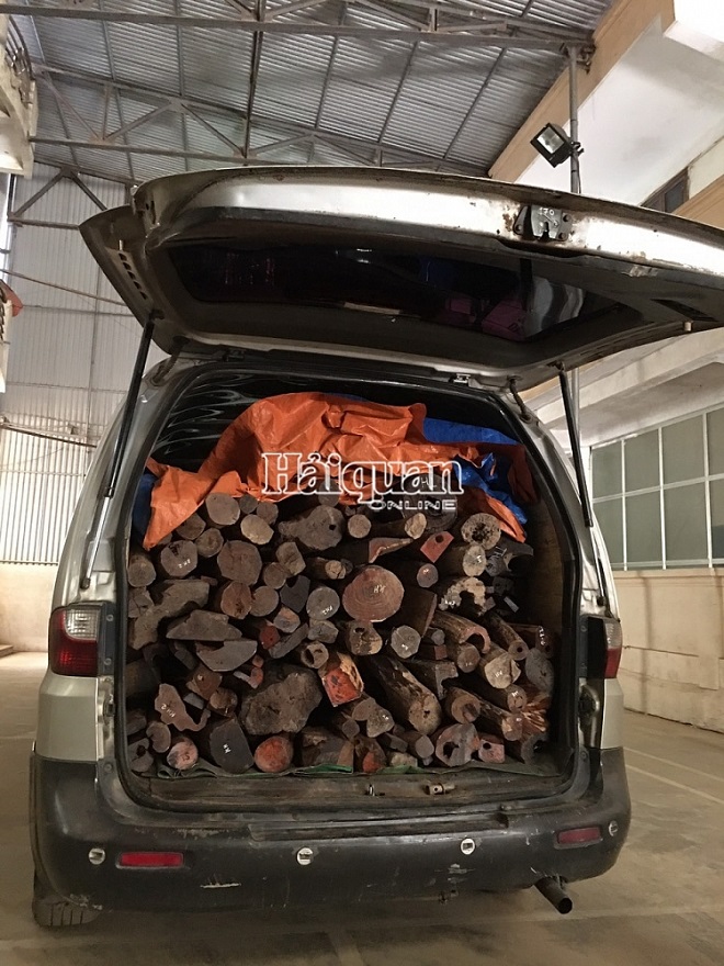 Hà Tĩnh: Thu giữ 1.459,3 kg gỗ quý