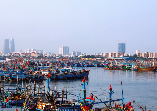 Đà Nẵng: Chuẩn bị phương án đưa cảng cá Thọ Quang hoạt động trở lại bảo đảm phòng chống Covid-19