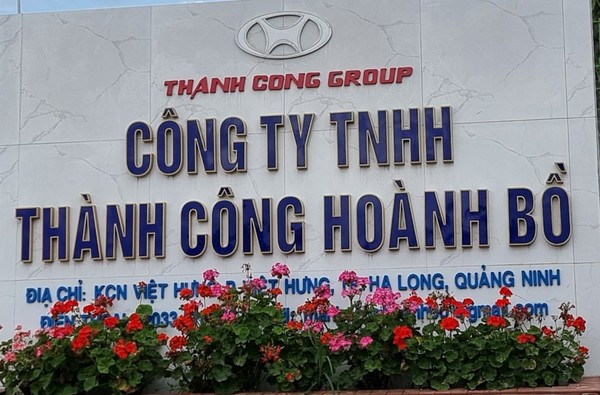 Quảng Ninh: Xử phạt 300 triệu đồng đối với công ty có hành vi huỷ hoại đất