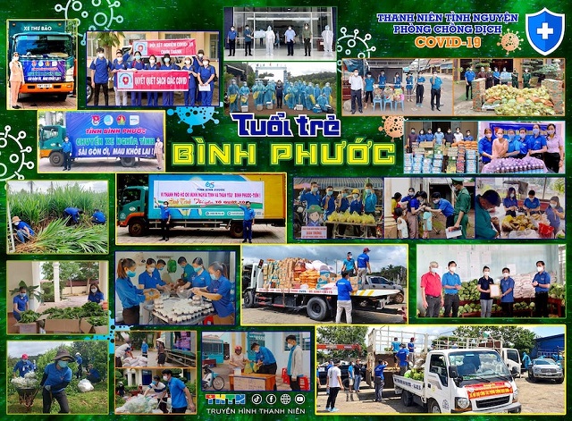 Bình Phước hiện có 159 đội hình thanh niên tình nguyện với 2.253 tình nguyện viên (trong đó có 714 là học sinh, sinh viên) tích cực cùng cả hệ thống chính trị của tỉnh tham gia chống dịch