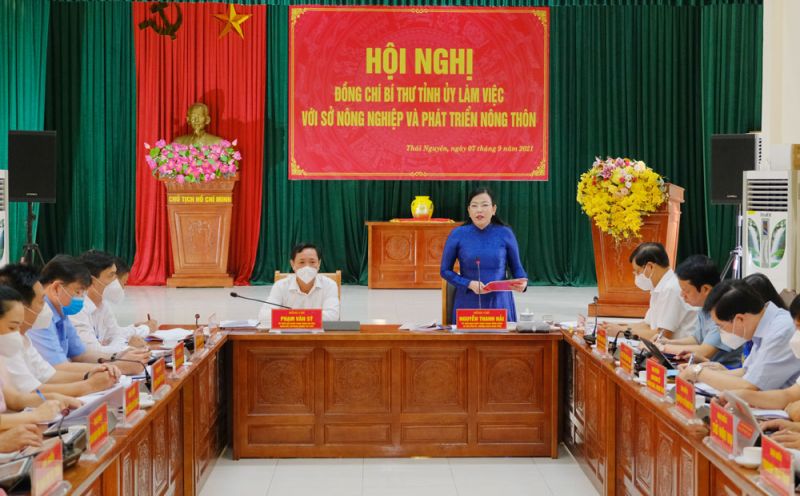 Đồng chí Nguyễn Thanh Hải, Ủy viên Ban Chấp hành Trung ương Đảng, Bí thư Tỉnh ủy, Trưởng Đoàn đại biểu Quốc hội tỉnh phát biểu tại buổi làm việc.