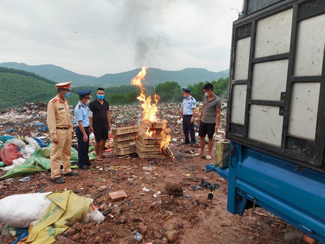 Quảng Ninh: Tiếp tục phát hiện hàng nghìn con gia cầm không rõ nguồn gốc xuất xứ