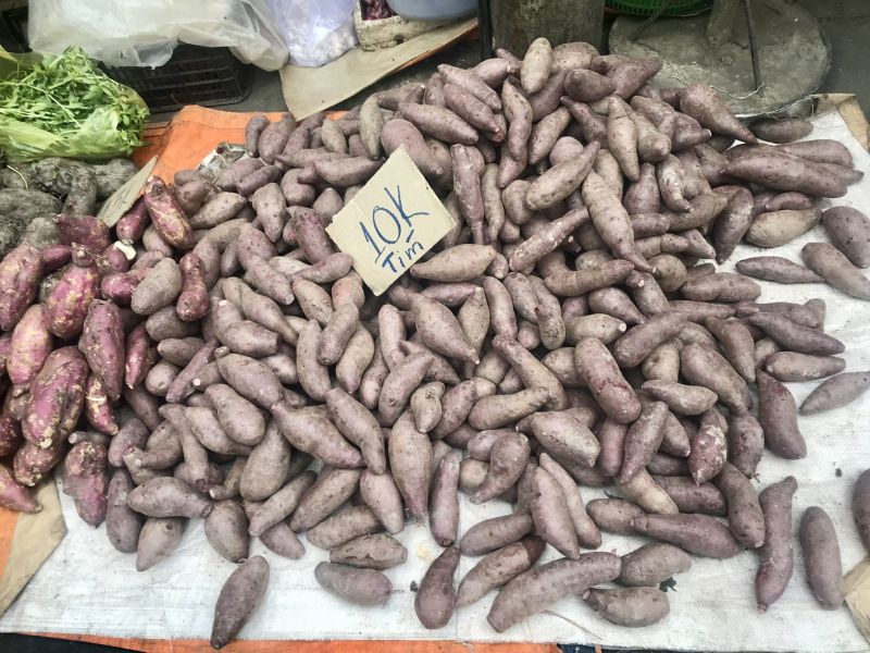 Vĩnh Long: Hàng nghìn tấn rau củ, trái cây đang cần được “giải cứu”