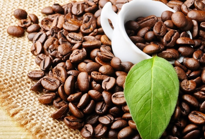 Giá cà phê ngày 11/9: Biến động trái chiều trên thị trường thế giới