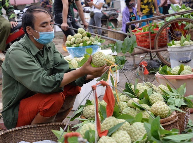 Chi Lăng mùa na chín