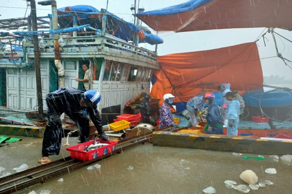 Ngư dân hối hả vào bờ bán cá để đưa thuyền bè đi tránh trú bão
