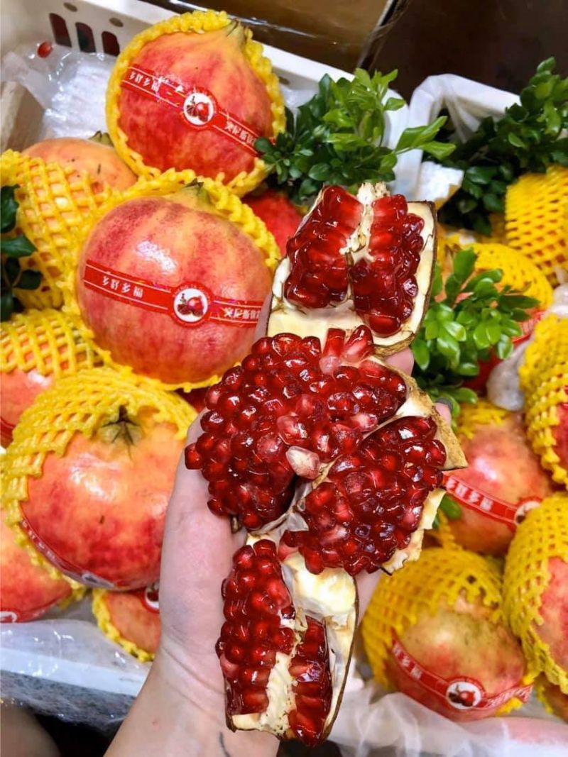 Nhập khẩu nông lâm thuỷ sản từ Trung Quốc vào Việt Nam đạt 2,1 tỷ USD