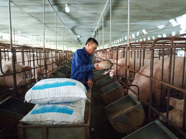 Đề xuất giảm thuế nhập khẩu ngô, lúa mì