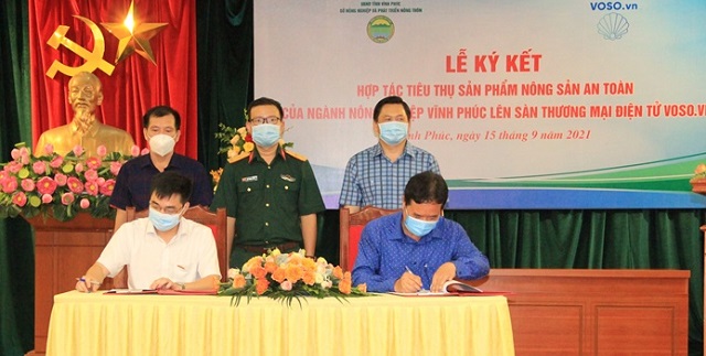 Hợp tác tiêu thụ sản phẩm nông sản an toàn trên sàn thương mại điện tử