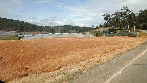 Lâm Đồng: Xử phạt Công ty Phượng Đỏ Đà Loan vì hủy hoại hơn 3ha đất