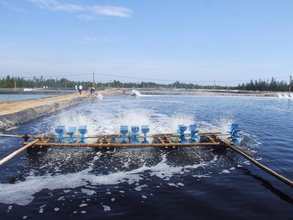 Bộ Tài chính đề xuất miễn phí thẩm định đề án xả nước thải vào nguồn nước