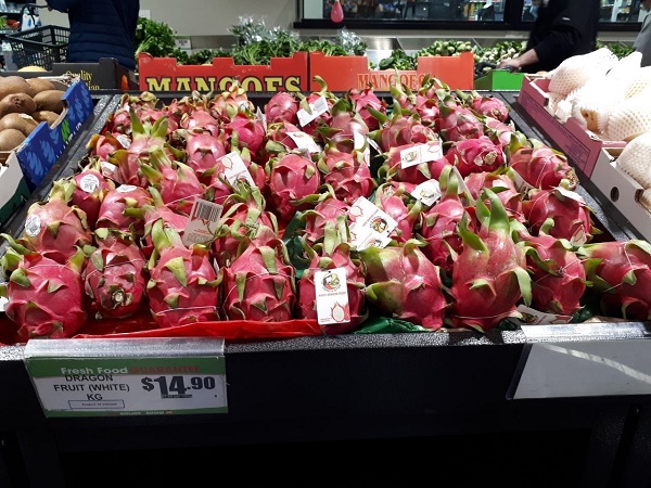 Thanh long Việt Nam được đánh giá xếp loại 5 sao, được ưa chuộng tại Úc