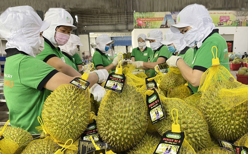 Quảng bá thương hiệu, phát triển thị trường tại Australia