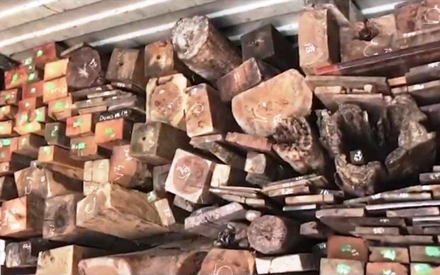 Quảng Trị: Bắt vụ buôn lậu gỗ và đá quý hiếm trị giá gần 30 tỷ đồng