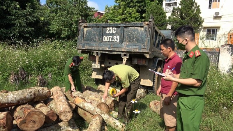 Cao Bằng: Bắt giữ xe tải chở gần 2m3 gỗ tự nhiên không rõ nguồn gốc