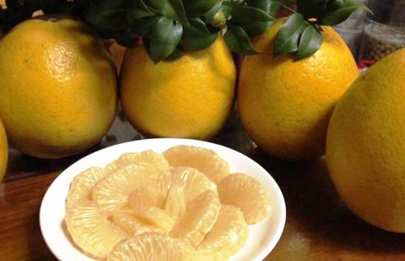 Hà Nội dự kiến thu hoạch hơn 110.000 tấn bưởi