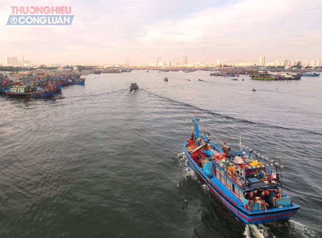 Từ sáng 30/9, cảng cá lớn nhất miền Trung hoạt động lại