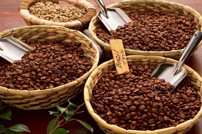 Giá cà phê trong nước hôm nay 4/10 tăng mạnh ở các vùng thu mua trọng điểm