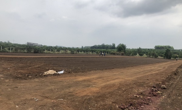 Đồng Nai: Sẽ ban hành quy định mới về tách thửa đất