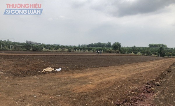 UBND tỉnh Đồng Nai ban hành quy định này là nhằm để ngăn chặn tình trạng tách thửa đất nông nghiệp tràn lan, mua đi bán lại kiếm lời, dẫn đến xây dựng trái phép, hình thành các khu dân cư tự phát.
