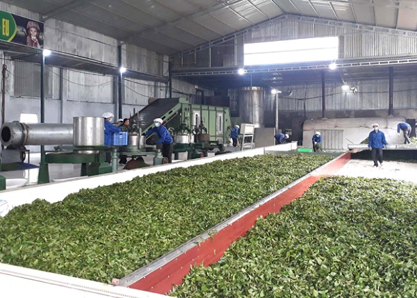 Hà Giang: 9 tháng năm 2021, giải quyết việc làm cho gần 13.000 lao động