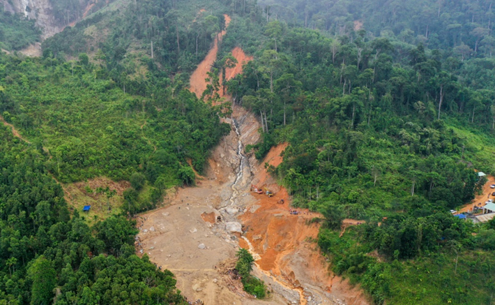 Đề xuất cho phép UBND cấp tỉnh phê duyệt chuyển đổi đất trồng lúa và đất rừng làm dự án