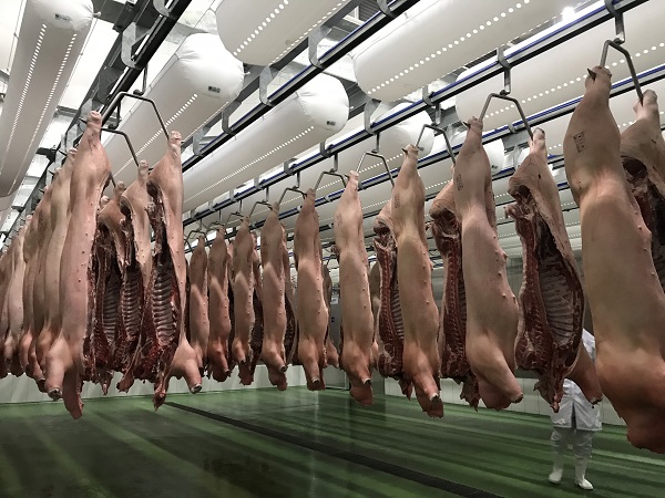 Giá heo hơi ngày 8/10: Điều chỉnh giảm 1.000 - 2.000 đồng/kg tại miền Nam