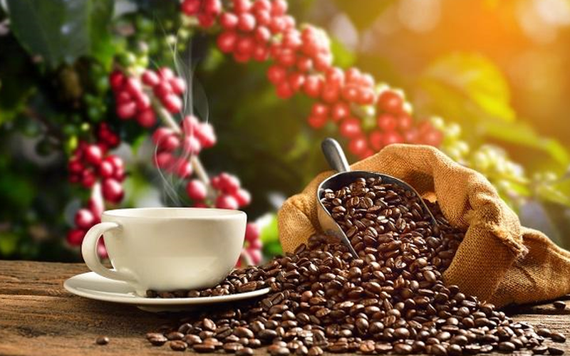 Giá cà phê ngày 9/10: Giá cà phê Arabica tiếp tục tăng mạnh